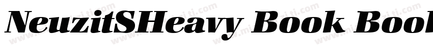 NeuzitSHeavy Book Book字体转换